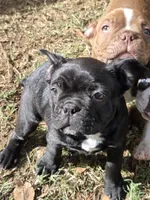 processed/1f198377-72af-4315-9d0e-6d9468024873/listing/46aee393-695a-4352-8b56-471717128ee3/7ea98168-289f-4c15-b7d8-311766523e96