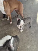 processed/1f198377-72af-4315-9d0e-6d9468024873/listing/8731d900-76aa-44e7-8d81-3e278471d876/0f4c7799-1a14-4507-90d8-2d12c5c7d33d