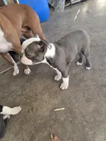 processed/1f198377-72af-4315-9d0e-6d9468024873/listing/8731d900-76aa-44e7-8d81-3e278471d876/2a8a6283-7b52-4398-8a4a-91c21b4d024a