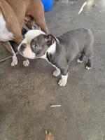 processed/1f198377-72af-4315-9d0e-6d9468024873/listing/8731d900-76aa-44e7-8d81-3e278471d876/44aa9fd0-eaa5-46a8-8e0b-3b88e36ba36e