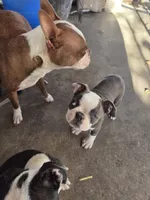 processed/1f198377-72af-4315-9d0e-6d9468024873/listing/8731d900-76aa-44e7-8d81-3e278471d876/a8addbff-bea0-4ffe-ae35-fb46fc180bb4