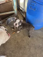 processed/1f198377-72af-4315-9d0e-6d9468024873/listing/8731d900-76aa-44e7-8d81-3e278471d876/aa4bdcfe-a491-4d44-87aa-b30c688be276