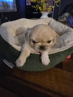 processed/1f1b59d3-c309-47d3-aa69-2ac6e0916f7d/listing/9fb87dd0-98c3-4a44-9e0c-8afecaac6021/66c14fb5-3abe-43c6-9b3e-f027804d1b4e