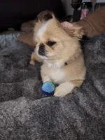 processed/1f1b59d3-c309-47d3-aa69-2ac6e0916f7d/listing/9fb87dd0-98c3-4a44-9e0c-8afecaac6021/9259fa89-4050-401c-b7af-d74b9249c6ac