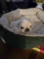 processed/1f1b59d3-c309-47d3-aa69-2ac6e0916f7d/listing/bc2613c4-5155-4270-ad01-d4062c929ce9/0b5d8cd9-d7a4-4bec-9e3f-b315ffbe2709