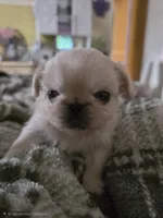 processed/1f1b59d3-c309-47d3-aa69-2ac6e0916f7d/listing/bc2613c4-5155-4270-ad01-d4062c929ce9/df318483-4144-4298-84ff-433b5ff286b7