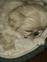 processed/1f1b59d3-c309-47d3-aa69-2ac6e0916f7d/listing/ed8a72a4-3af1-4bac-8c35-e77390192f14/6404aae2-d97b-485b-ae5b-34d9e177aaae