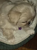 processed/1f1b59d3-c309-47d3-aa69-2ac6e0916f7d/listing/ed8a72a4-3af1-4bac-8c35-e77390192f14/daf1ee31-ed6d-4948-90bf-7981aa9b219a