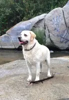 processed/1f1c8f02-66d6-4d47-a2c9-d4c546aee074/listing/28da223a-7d90-45c8-b0fb-9346339ef010/20e180d6-1575-41e0-86c6-3454da420950