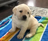 processed/1f1c8f02-66d6-4d47-a2c9-d4c546aee074/listing/28da223a-7d90-45c8-b0fb-9346339ef010/bb73f416-ac6b-49f0-9028-59c5e7de5ced