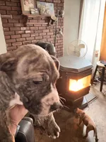 processed/1f232580-62da-442d-ba0a-e544a239266c/listing/00ef90e1-39c7-440d-9f23-8aac90b21cc1/55dd90b5-96fa-4f76-adca-3604a1af5692