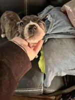 processed/1f232580-62da-442d-ba0a-e544a239266c/listing/00ef90e1-39c7-440d-9f23-8aac90b21cc1/fe1d157d-ae99-4fed-acae-e032e95a6edd