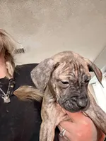 processed/1f232580-62da-442d-ba0a-e544a239266c/listing/0f083a3c-64f3-4ad6-95ab-68ea914b21e8/1a53450d-13c9-4e48-986c-6af56d571ab3