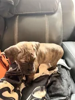 processed/1f232580-62da-442d-ba0a-e544a239266c/listing/0f083a3c-64f3-4ad6-95ab-68ea914b21e8/6adb80a3-36e1-427d-8da3-e711e73d4a99