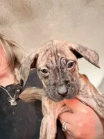 processed/1f232580-62da-442d-ba0a-e544a239266c/listing/0f083a3c-64f3-4ad6-95ab-68ea914b21e8/982e1c05-e150-4e18-a7c9-b7d412a27eb7