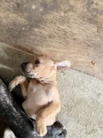 processed/1f232580-62da-442d-ba0a-e544a239266c/listing/179488a9-a5bf-4e47-b131-a0f8a1a751f9/819814e8-72fd-4d70-9b66-a2cff621a40f