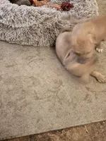 processed/1f232580-62da-442d-ba0a-e544a239266c/listing/179488a9-a5bf-4e47-b131-a0f8a1a751f9/ca9457a0-e581-46fd-913f-fc9070257ecf