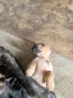 processed/1f232580-62da-442d-ba0a-e544a239266c/listing/179488a9-a5bf-4e47-b131-a0f8a1a751f9/f7803401-21a1-423a-abe5-45066013f7f0