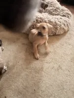 processed/1f232580-62da-442d-ba0a-e544a239266c/listing/82cc6f32-717b-468b-9c85-3b80120a0801/1aec4214-a529-4355-a2c8-4fef54049c22