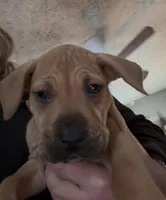 processed/1f232580-62da-442d-ba0a-e544a239266c/listing/82cc6f32-717b-468b-9c85-3b80120a0801/31f52279-ea0a-45e8-9c10-8bc9f395d177