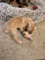 processed/1f232580-62da-442d-ba0a-e544a239266c/listing/82cc6f32-717b-468b-9c85-3b80120a0801/634778ac-2b14-458a-9902-2aaabf1a3028