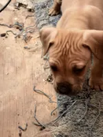 processed/1f232580-62da-442d-ba0a-e544a239266c/listing/82cc6f32-717b-468b-9c85-3b80120a0801/696792db-3623-45c3-9d62-9b7ddae744a6