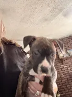 processed/1f232580-62da-442d-ba0a-e544a239266c/listing/bc99a13a-82e7-4ba7-8dda-d4535be81a80/802c1e4f-ee65-4638-966f-cbd89a722cdc