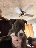 processed/1f232580-62da-442d-ba0a-e544a239266c/listing/bc99a13a-82e7-4ba7-8dda-d4535be81a80/a3387ef5-dc08-4e27-aae4-a17d6e7127f3