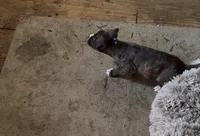 processed/1f232580-62da-442d-ba0a-e544a239266c/listing/bc99a13a-82e7-4ba7-8dda-d4535be81a80/f688359f-f4dd-4414-af33-f755329189db