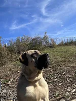 processed/1f28c5e5-40ea-4af7-adb3-ecdcd0c86a42/facility/24c7e1c6-7e3b-4f74-9173-ef4f9347d5ae