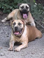 processed/1f28c5e5-40ea-4af7-adb3-ecdcd0c86a42/facility/2569c323-9cf8-46a9-8180-b59a024d1c3f