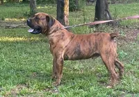 processed/1f28c5e5-40ea-4af7-adb3-ecdcd0c86a42/facility/4f1b1a96-56f7-4d3f-bda8-e53d119a42e3