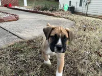 processed/1f28c5e5-40ea-4af7-adb3-ecdcd0c86a42/facility/f2b93f76-b2bd-410c-9ed4-ad79e6b47d17