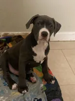 processed/1f301d95-8fc1-4940-8bae-719fc6303545/listing/7338271f-9be9-47f7-b85b-3a236c8013b1/141edb10-ccaf-4650-893f-ad9c58c976b9