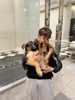 Skye, a female German Shepherd Dog for sale in Great Neck, NY – 4 of 5