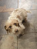 processed/1f5b2aab-e9bb-4ce7-bcc9-43d3b8645383/facility/1a78fe27-caf6-4d97-9679-dce3cc769ad9