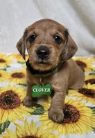 processed/1f5b2aab-e9bb-4ce7-bcc9-43d3b8645383/facility/40f01043-08fc-4f5e-8a09-6c5ba4b17cc4