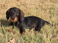 processed/1f5b2aab-e9bb-4ce7-bcc9-43d3b8645383/facility/639b1b7c-dffc-4909-9330-6806c40ffa71