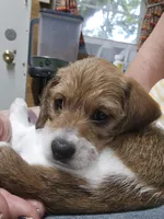 processed/1f5b2aab-e9bb-4ce7-bcc9-43d3b8645383/facility/7b93dc36-662e-4a47-8cf8-8260dbeebe39