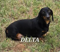 processed/1f5b2aab-e9bb-4ce7-bcc9-43d3b8645383/facility/aad36329-46e4-4333-bb28-88980bac2123