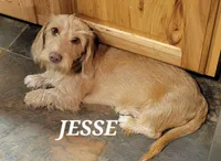 processed/1f5b2aab-e9bb-4ce7-bcc9-43d3b8645383/facility/be0fa200-77a8-485c-9f67-f03bffa3af57