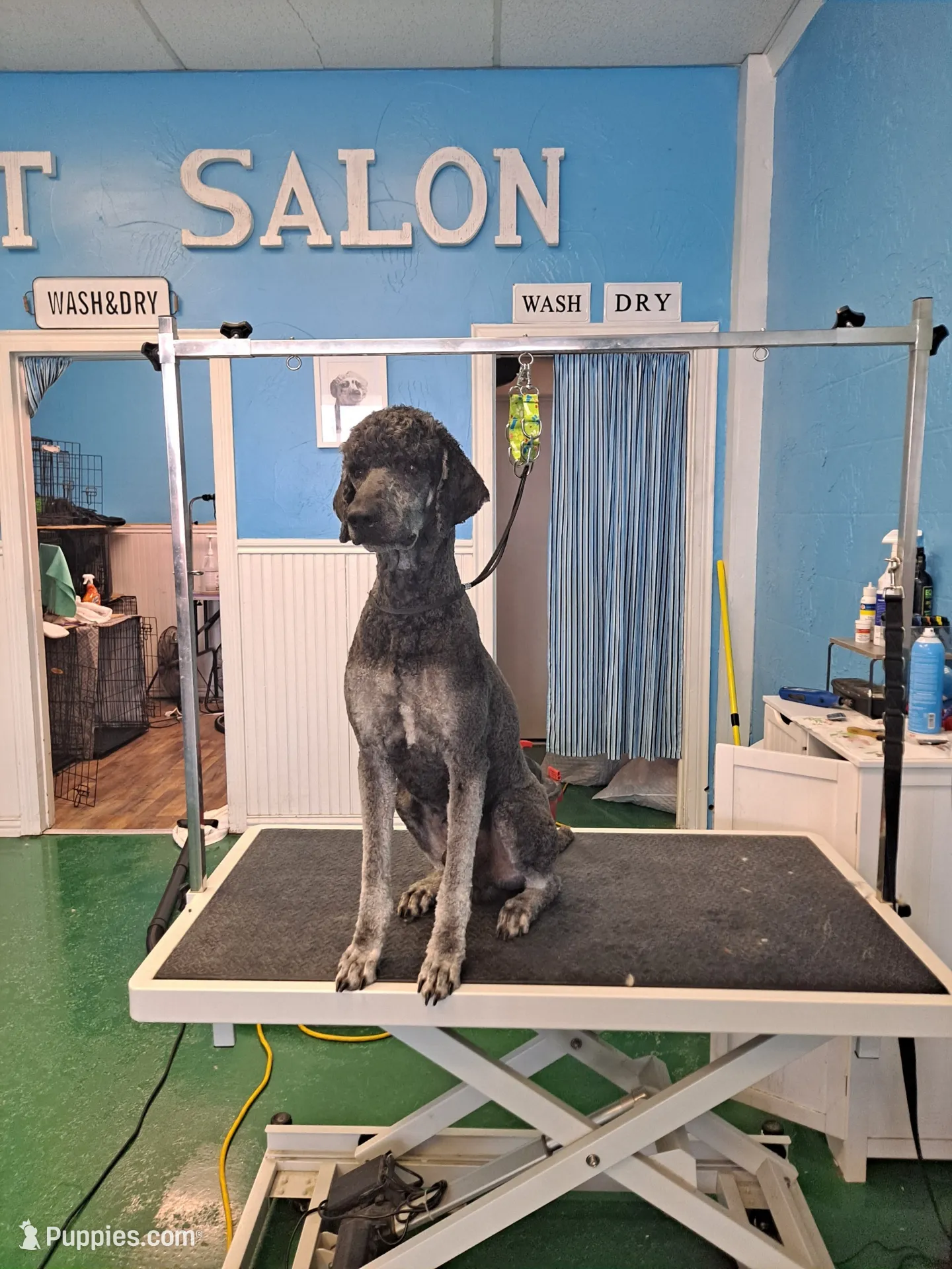 processed/1f5f52a8-790c-4e55-aabe-0b15b40f573e/listing/a6dfe280-d3ab-45ac-95d4-92c120758038/9b9dbd49-aac2-4756-94a5-3269efde0b2e