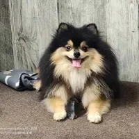 processed/1f6367ee-2e5e-472e-879c-d86d736416b5/facility/5a3bdb7d-d044-48dc-92ad-f86e51682b62