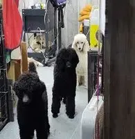 processed/1f6367ee-2e5e-472e-879c-d86d736416b5/facility/ffaa7b21-f052-4b4b-8968-0f33be693e1a