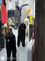 processed/1f6367ee-2e5e-472e-879c-d86d736416b5/facility/ffaa7b21-f052-4b4b-8968-0f33be693e1a