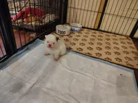 processed/1f6367ee-2e5e-472e-879c-d86d736416b5/listing/c638982b-37a5-4723-8399-a258387fbb35/63a9151a-3ef2-453b-ad32-537f6c9b8ce2