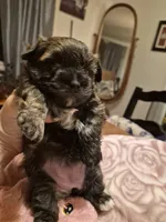 processed/1f6d1505-8539-47f9-8a83-b7ca3fa24b15/listing/5b7b19da-8e46-459a-90fd-3ad31d3bc244/11ee6f3f-fa63-4a1c-9241-e7854aee6c45