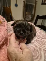 processed/1f6d1505-8539-47f9-8a83-b7ca3fa24b15/listing/5b7b19da-8e46-459a-90fd-3ad31d3bc244/60120a0c-a96f-434f-ae5c-cabb868bc066