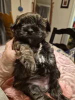 processed/1f6d1505-8539-47f9-8a83-b7ca3fa24b15/listing/5b7b19da-8e46-459a-90fd-3ad31d3bc244/6c1d6169-6e2b-41af-aae3-beb49f8e80f4