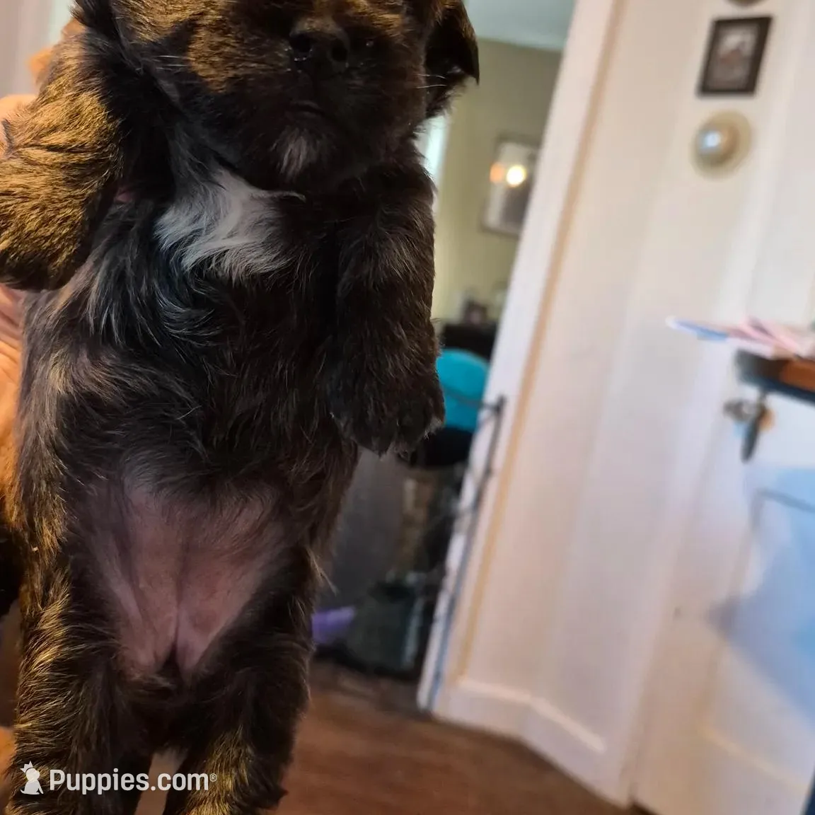 processed/1f6d1505-8539-47f9-8a83-b7ca3fa24b15/listing/5b7b19da-8e46-459a-90fd-3ad31d3bc244/7bf742e2-d351-4030-8a5d-0d784263f6d6